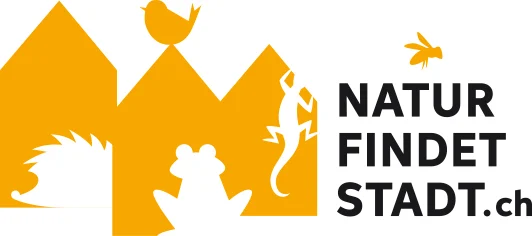 Natur findet Stadt